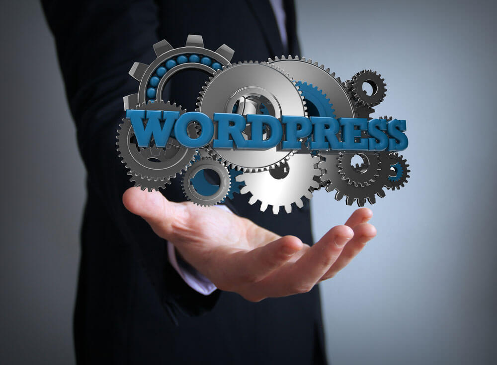 Epitome Digital Marketing Atlanta WordPress Websites Page Image
