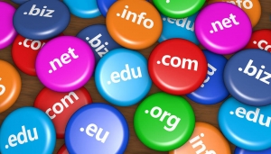 Epitome Digital Marketing Domain Name Registration Image Share
