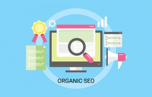 Epitome Digital Marketing Organic SEO Image Share